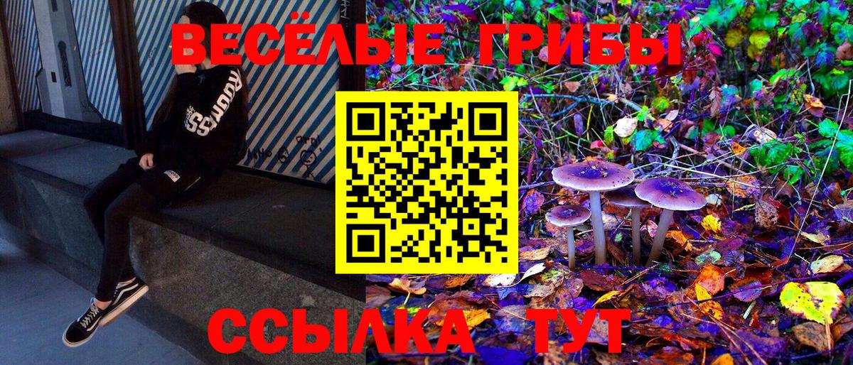 Псилоцибиновые грибы MAGIC MUSHROOMS  Псилоцибиновые грибы Psilocybine cubensis  Вход с VPN  Выкса 