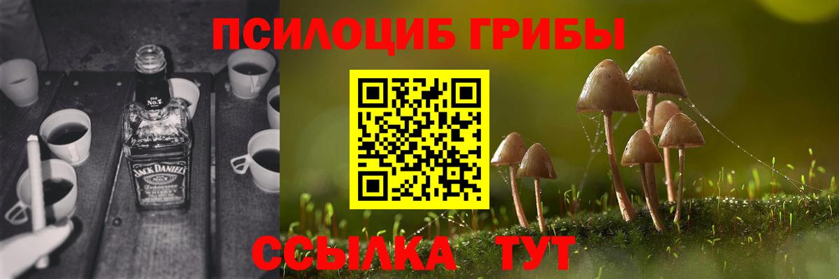 Галлюциногенные грибы Psilocybe Выкса